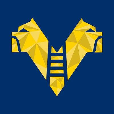 Hellas Verona FC
