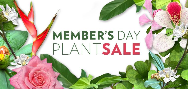 \ud83c\udf3f Fairchild Garden\u2019s Annual Member\u2019s Day Plant Sale \ud83c\udf3f