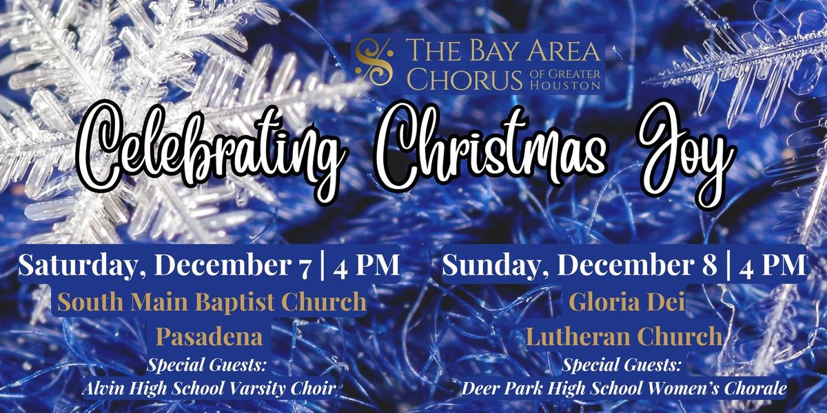 Celebrating Christmas Joy -Nassau Bay