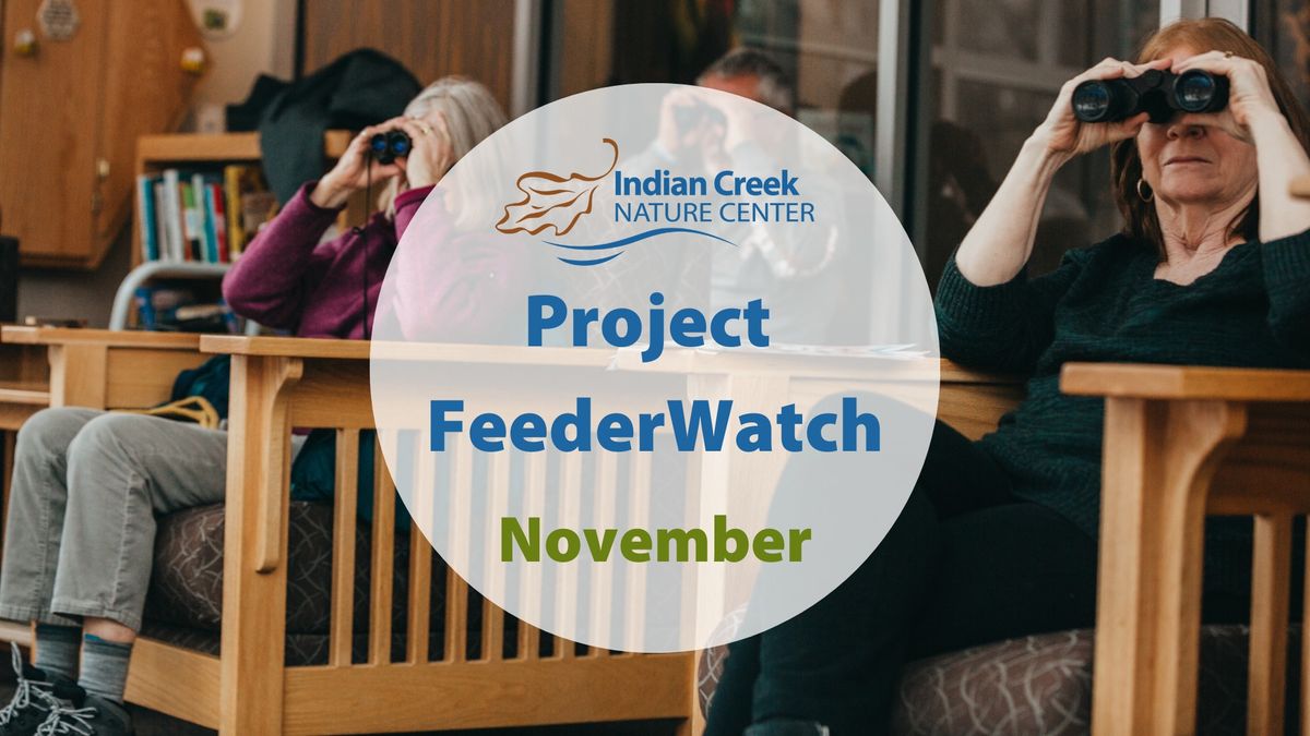 Project FeederWatch (November)