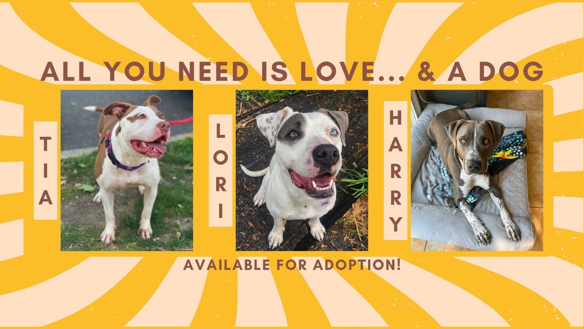 Asbury Park Brewery Adoption Event 