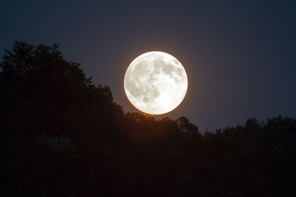 Beaver Moon Gathering