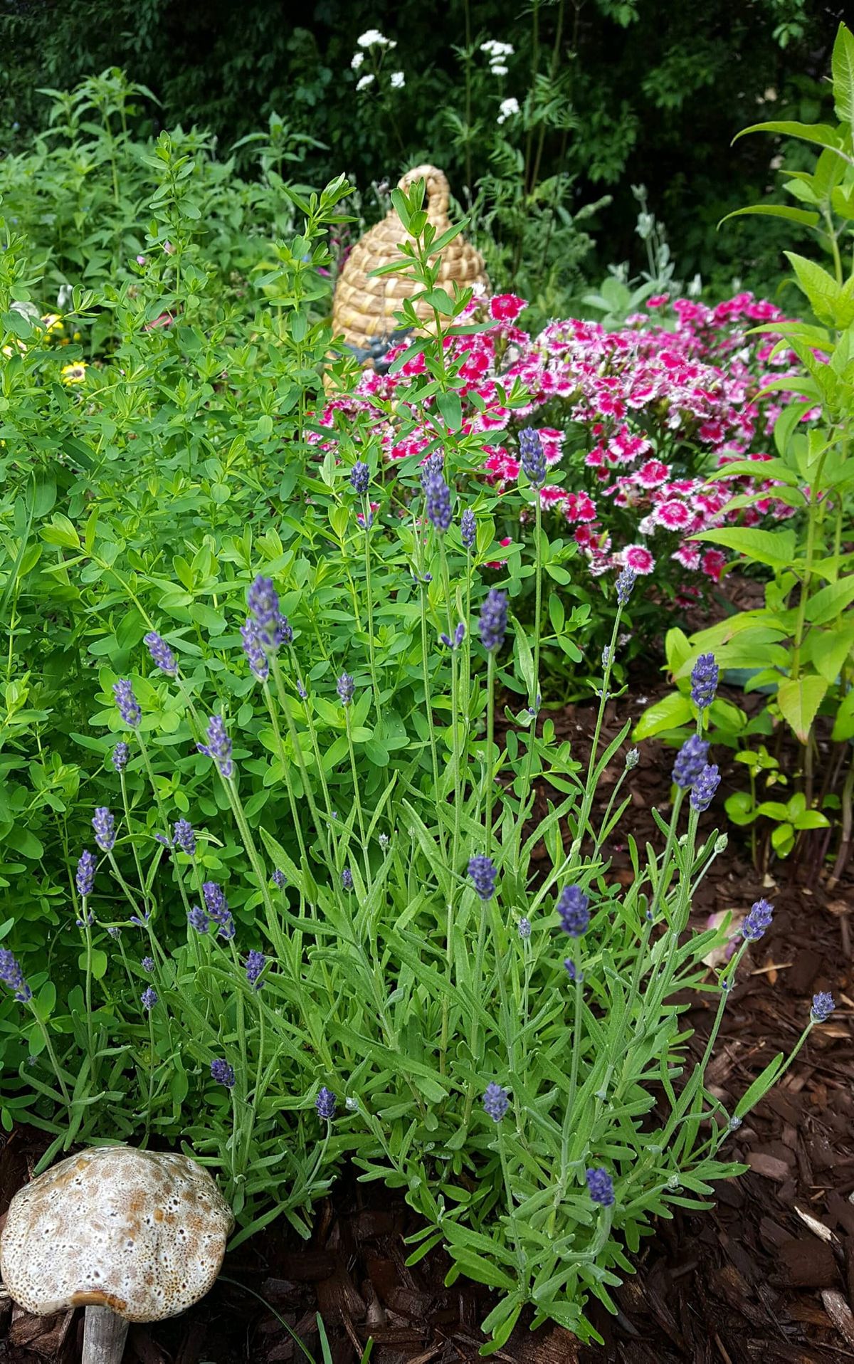 25th Annual PA Herb and Garden Festival