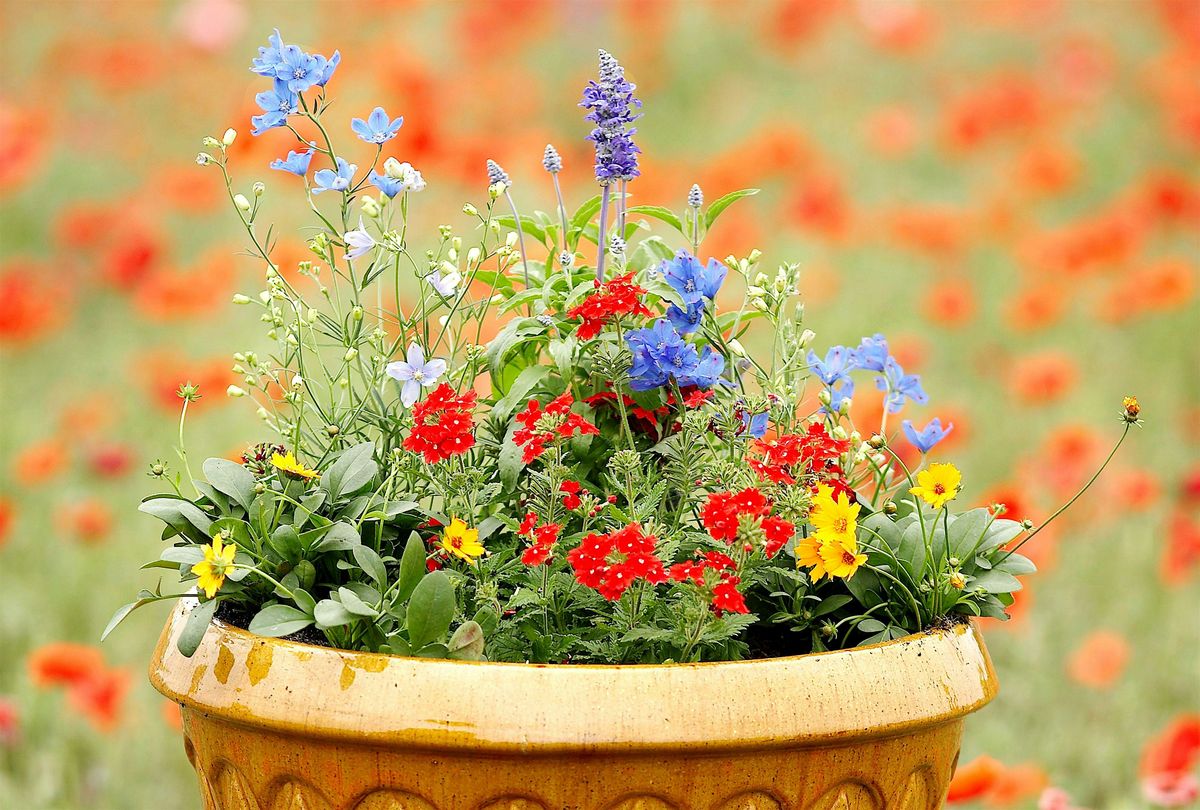 The Prairie Gardeners Go-To for Pollinators