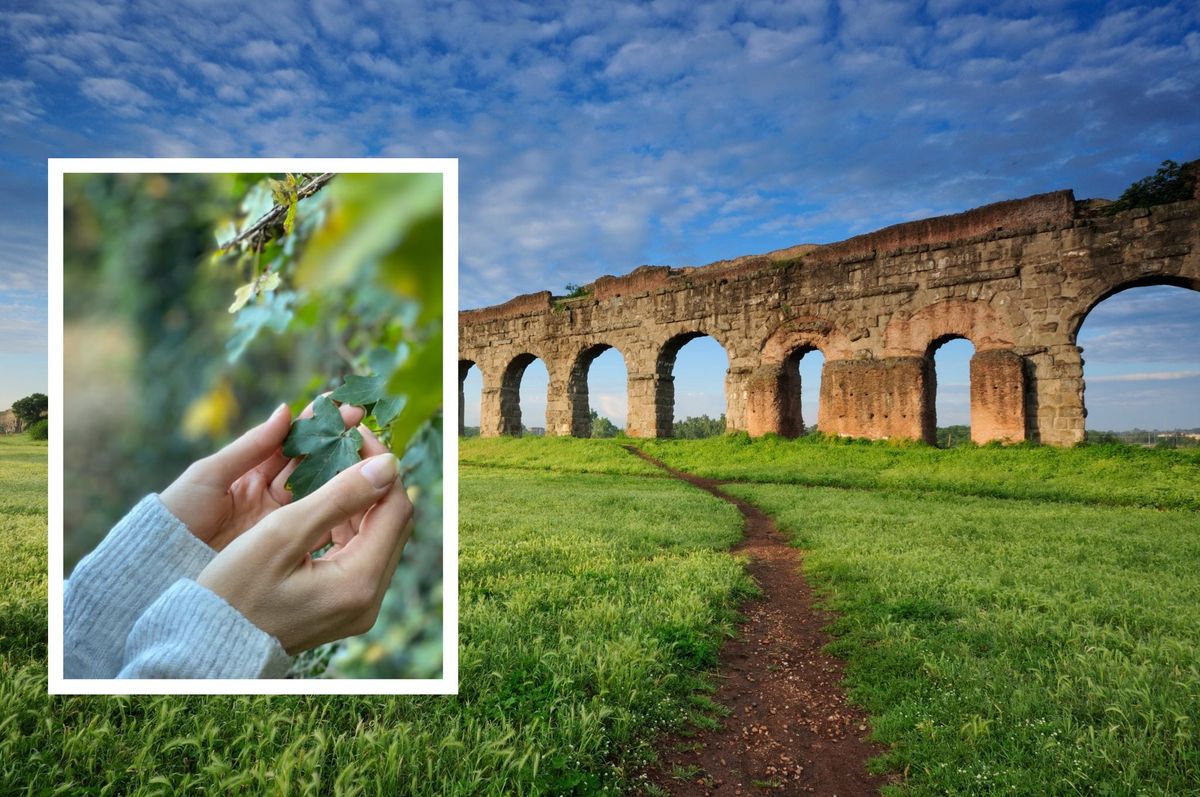 Speciale Pasquetta: Archeotrekking esperenziale al Parco degli Acquedottii...con picnic!