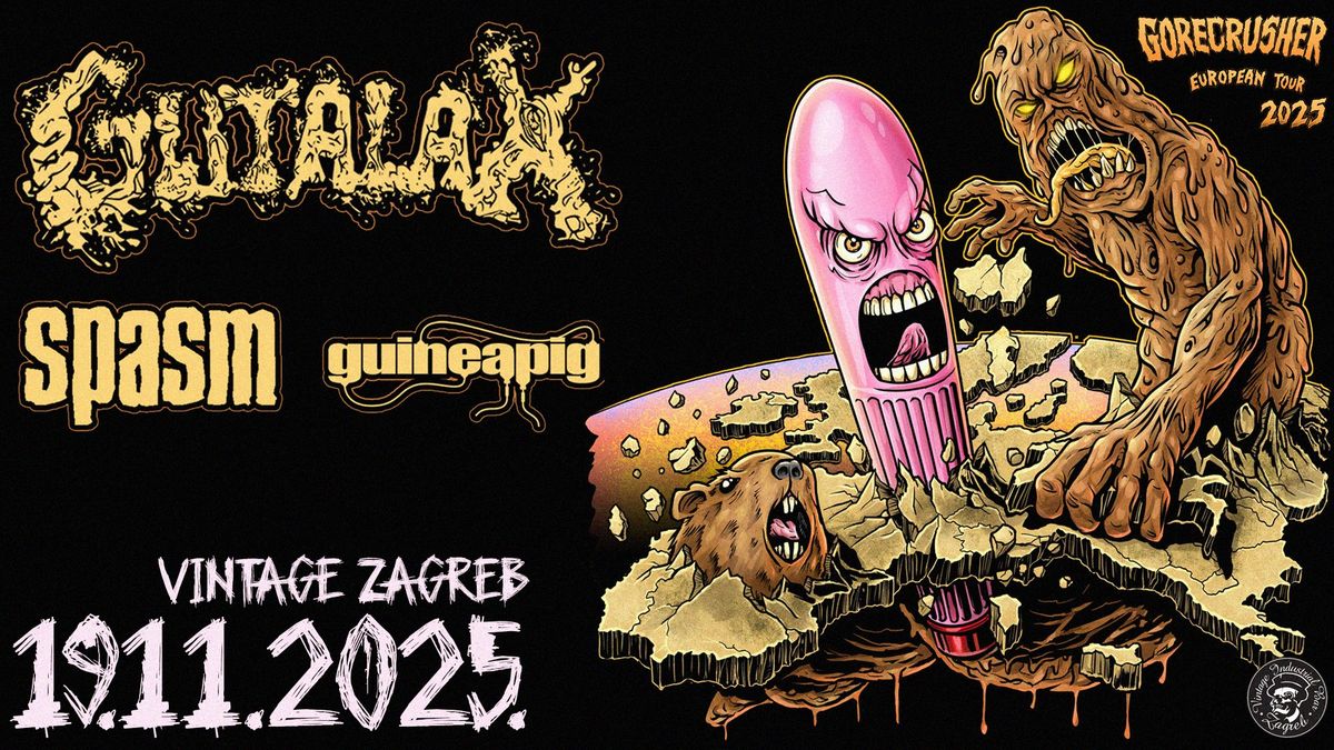 Gutalax \/ Spasm \/ guineapig | 19\/11\/25 VIB