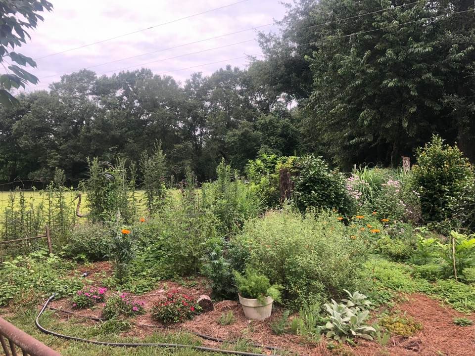 Herb Garden Workshop