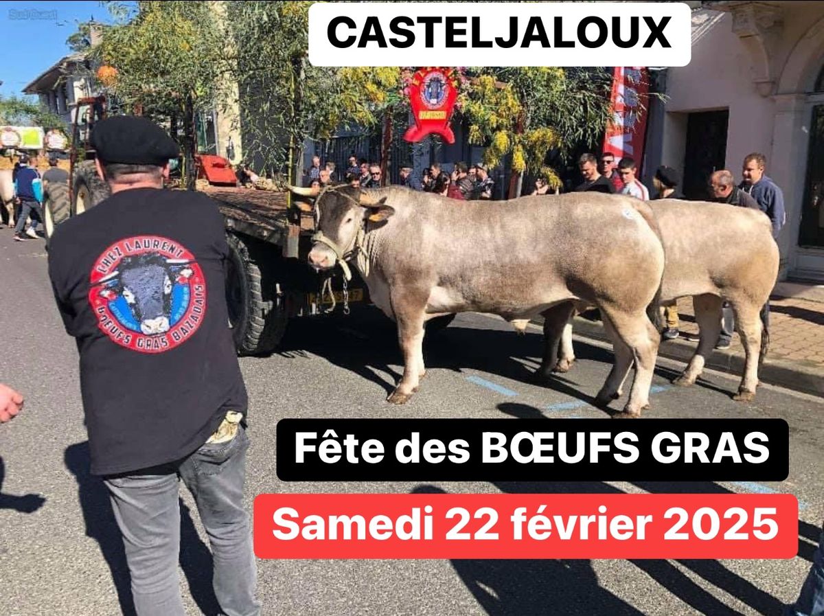 CASTELJALOUX- Place Gambetta - F\u00caTE DES BOEUFS GRAS - D\u00e9fil\u00e9 des b\u0153ufs de Laurent et restauration