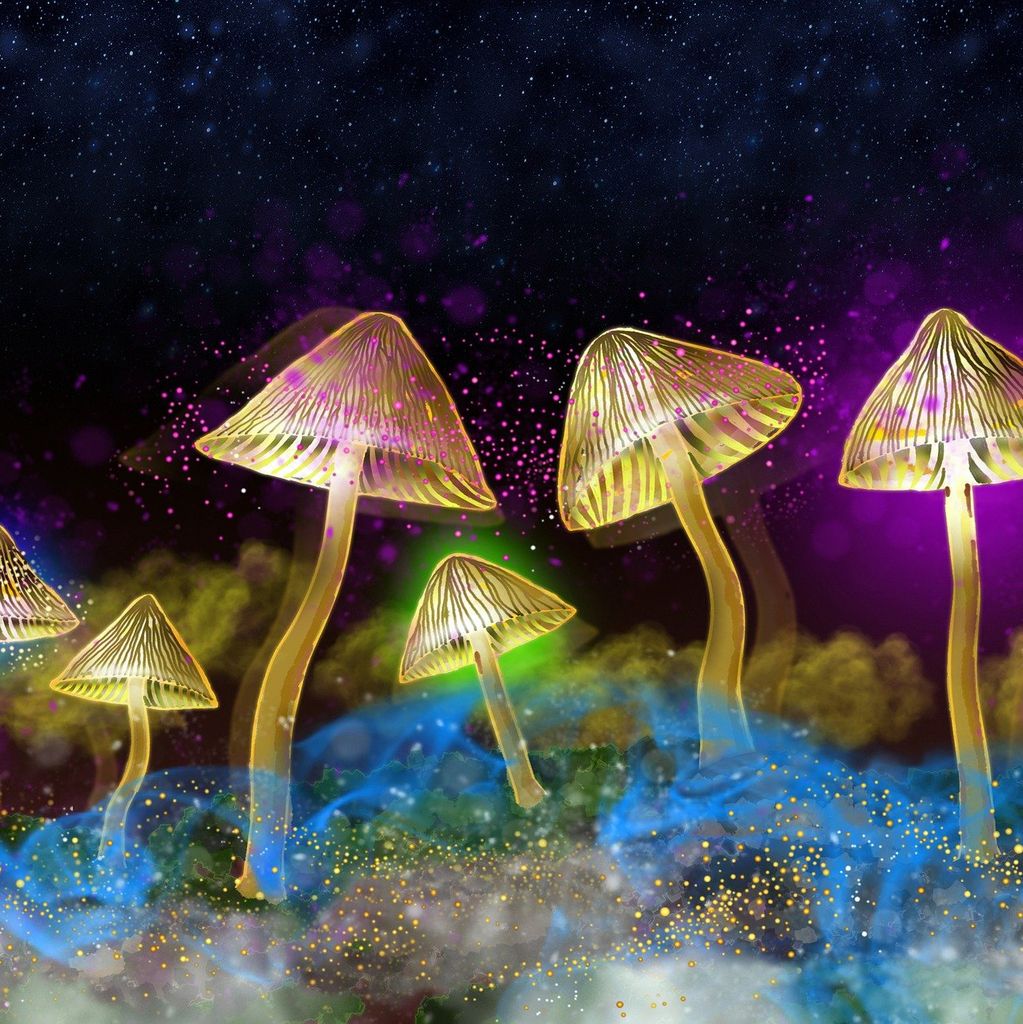 The Science of Psychedelics with Neuroscientist Maria Balaet