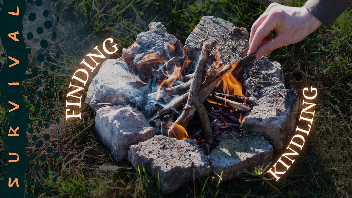 Survival: Finding Kindling 