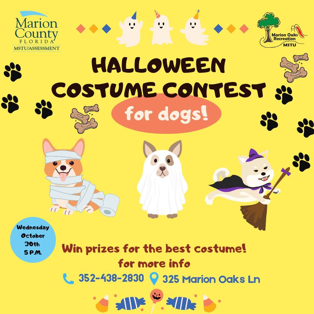 Halloween Costume Contest for dogs!