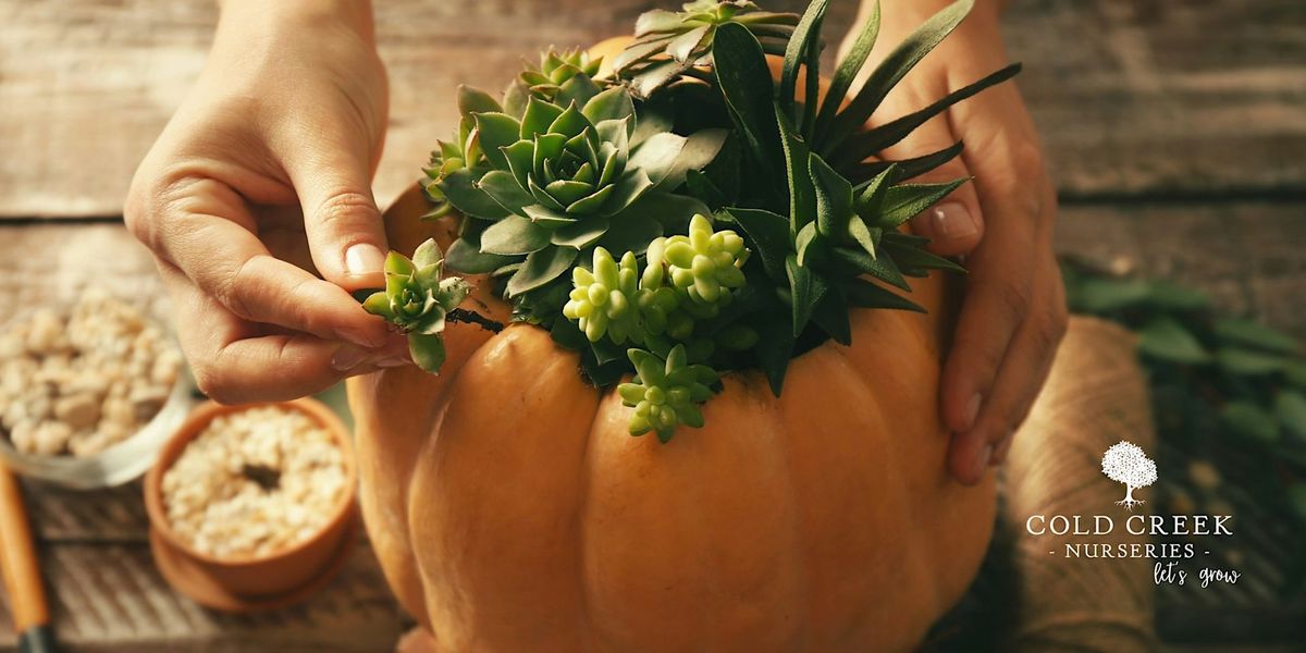 Pumpkin Succulent Workshop