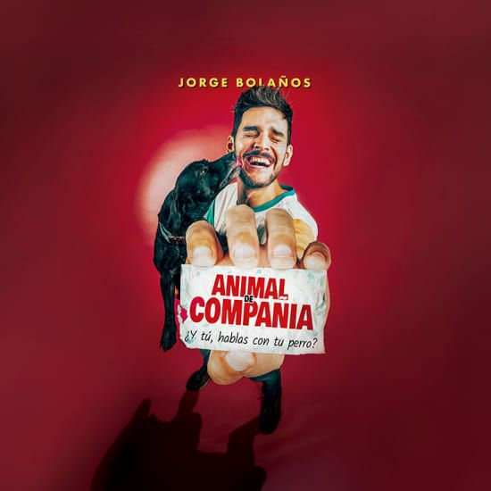 Animal de Compa\u00f1\u00eda en Zaragoza