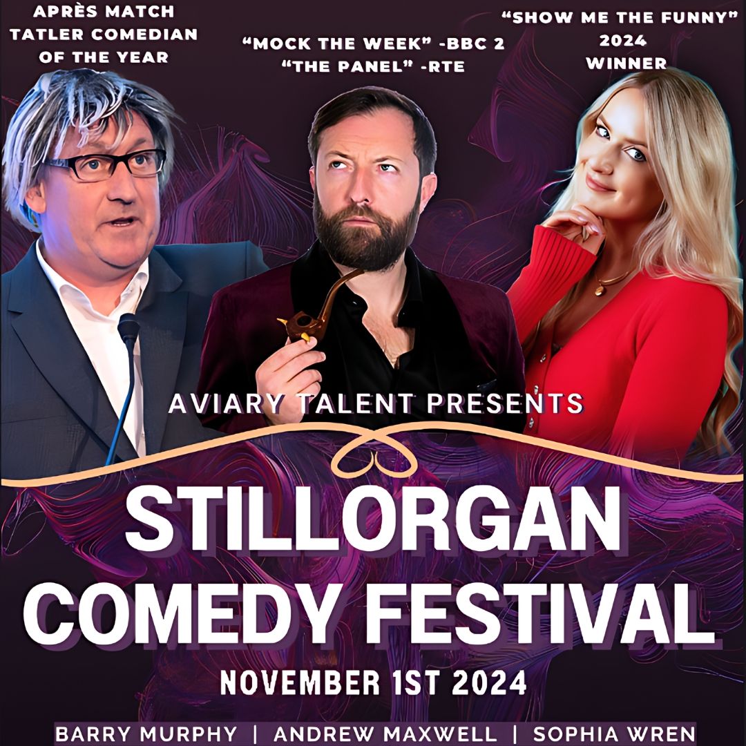 Stillorgan Comedy Festival - Stellar stand up acts