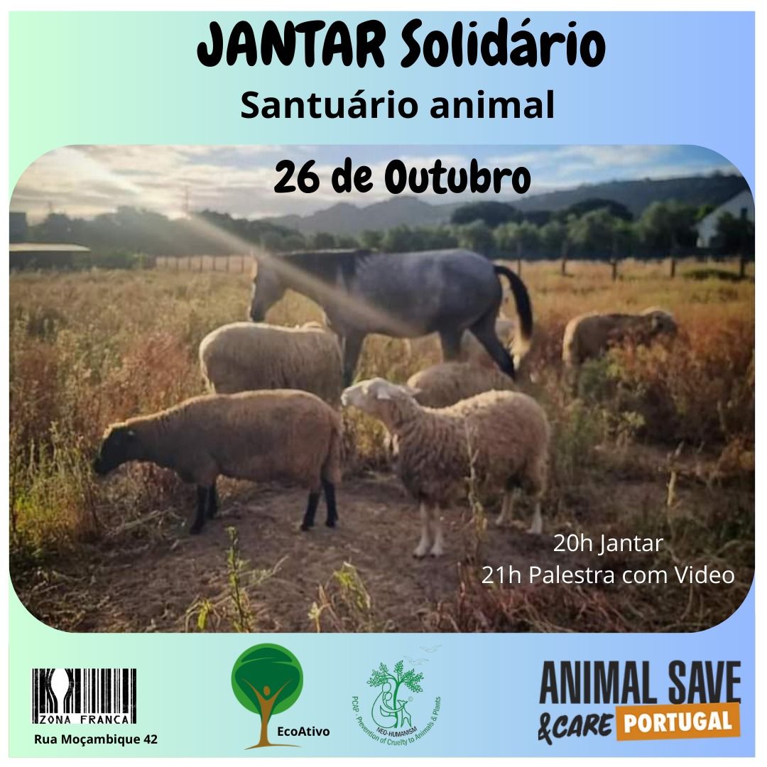 Jantar Solid\u00e1rio para a Animal Save&Care Portugal