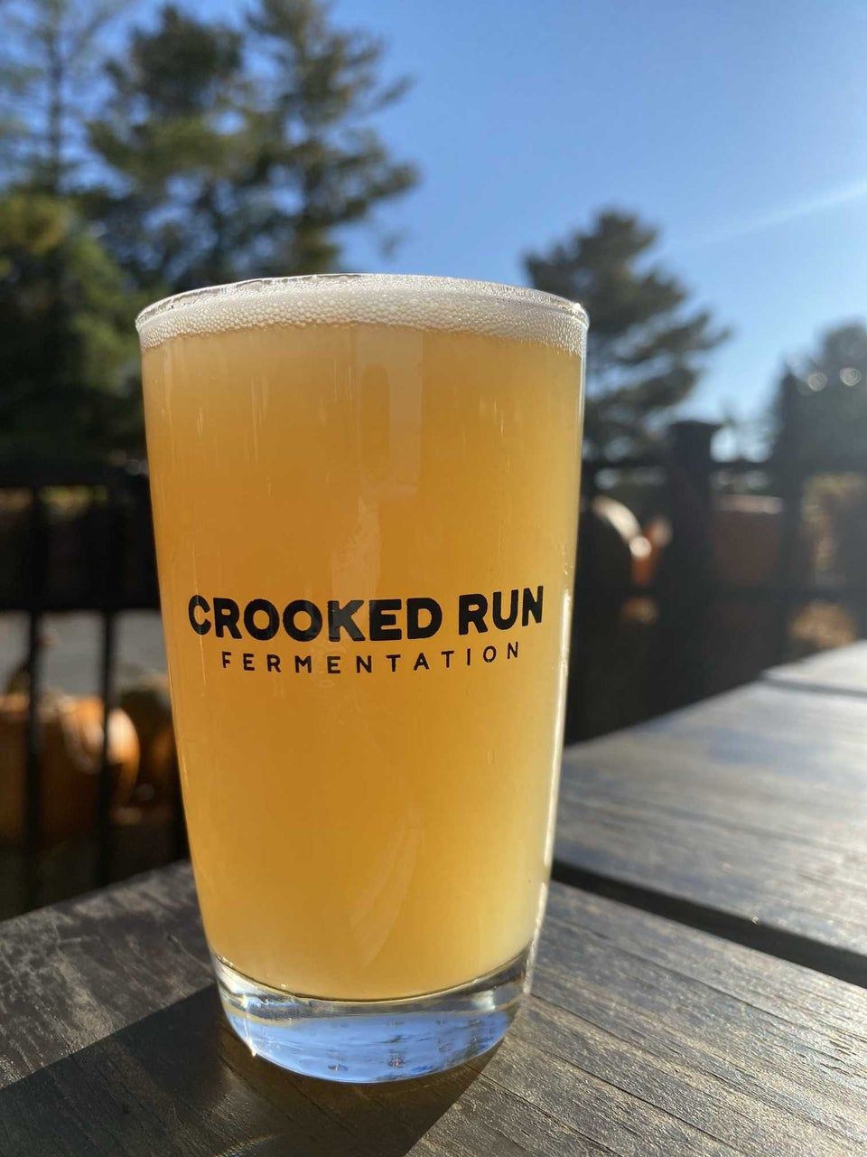 Celebrate Back to School with AJU at Crooked Run