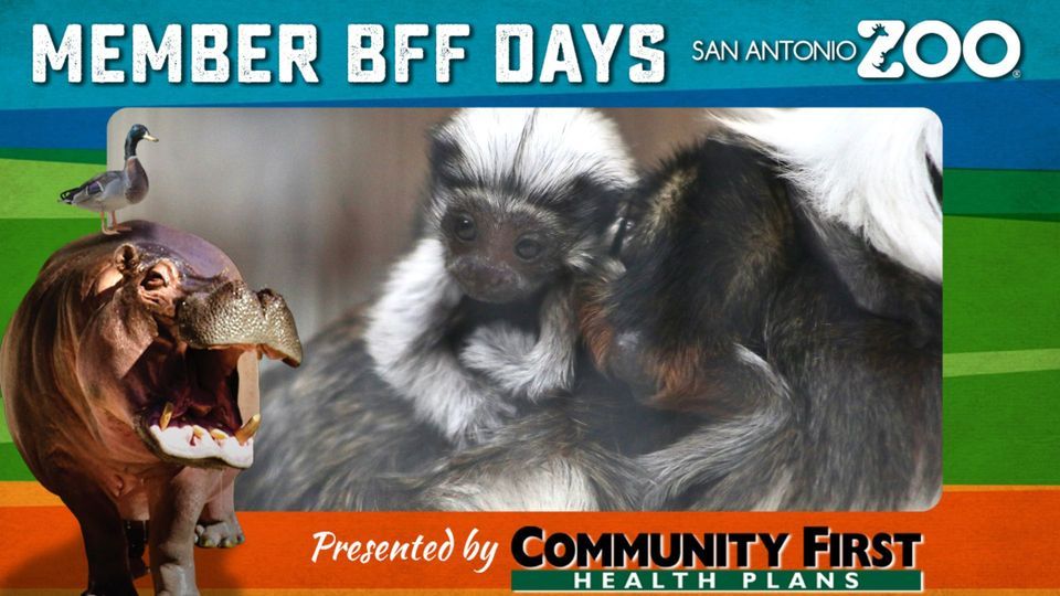 BFF National Twin Day!