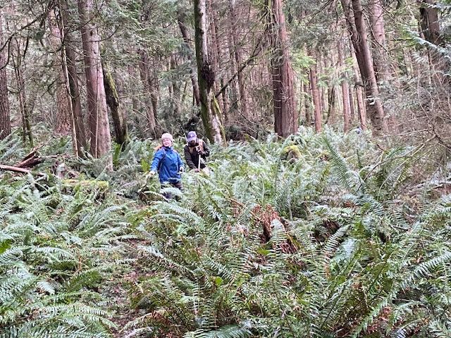 Trail Cleanup Event with WA State Parks at Squak Mountain