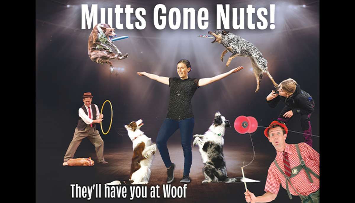 Parking Mutts Gone Nuts: Unleashed
