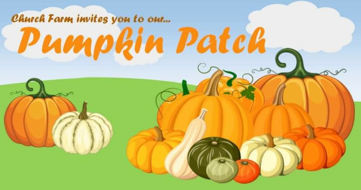 Church Farm's Pumpkin Patch 