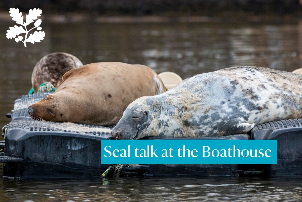 Seal talk at Greenway's Boathouse