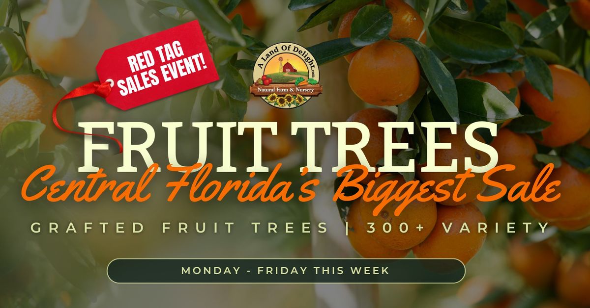 RED TAG FRUIT TREE SALE | 1000+ GRAFTED FRUIT TREES IN STOCK