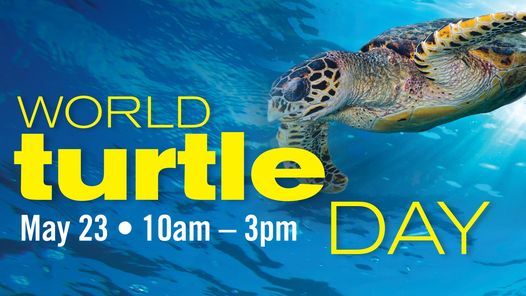 World Turtle Day Downtown Aquarium Denver 23 May 21