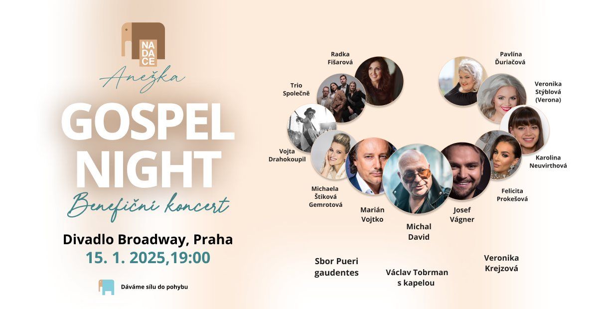 Druh\u00fd benefi\u010dn\u00ed koncert - Gospel Night