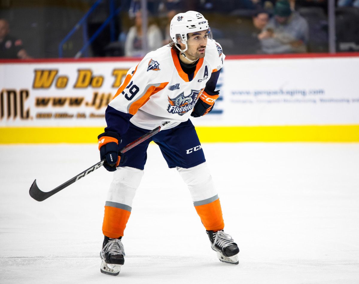 Sault Ste Marie - Soo Greyhounds at Flint Firebirds