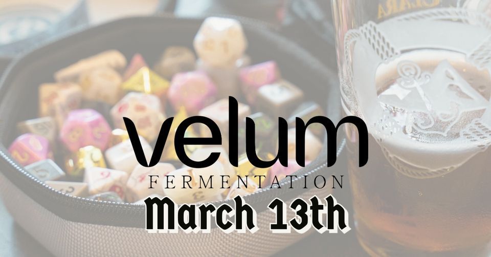 DnD at Velum Fermentation, Velum Fermentation, Pittsburgh, 13 March 2024
