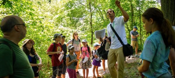 Discovery Walks for Families: The North Woods