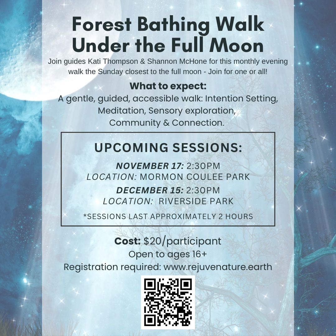 Full Moon Forest Bathing Walk