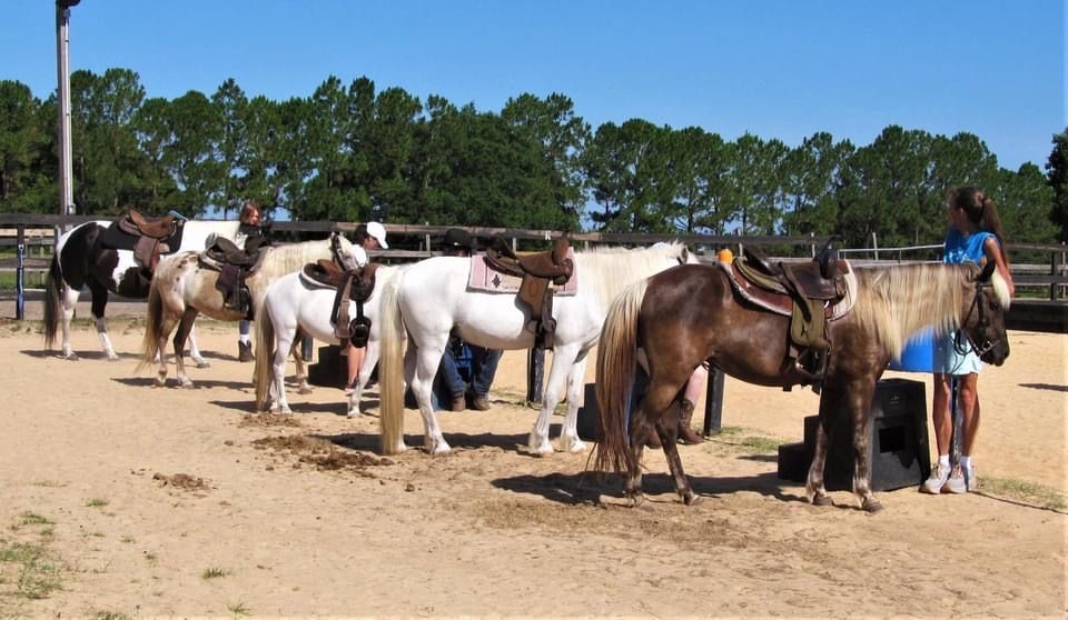 SUMMER HORSE CAMP, DreamCatcher Horse Rescue, Clermont, 18 July 2022