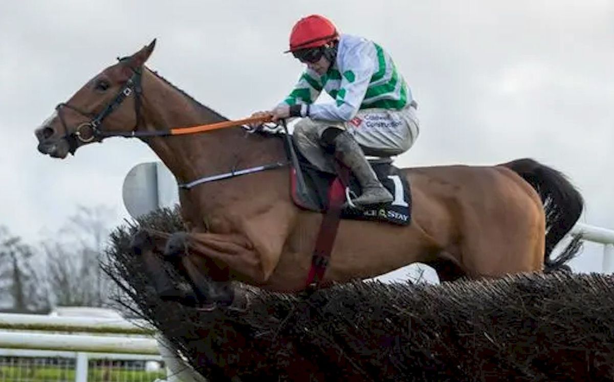 Navan Racing Festival