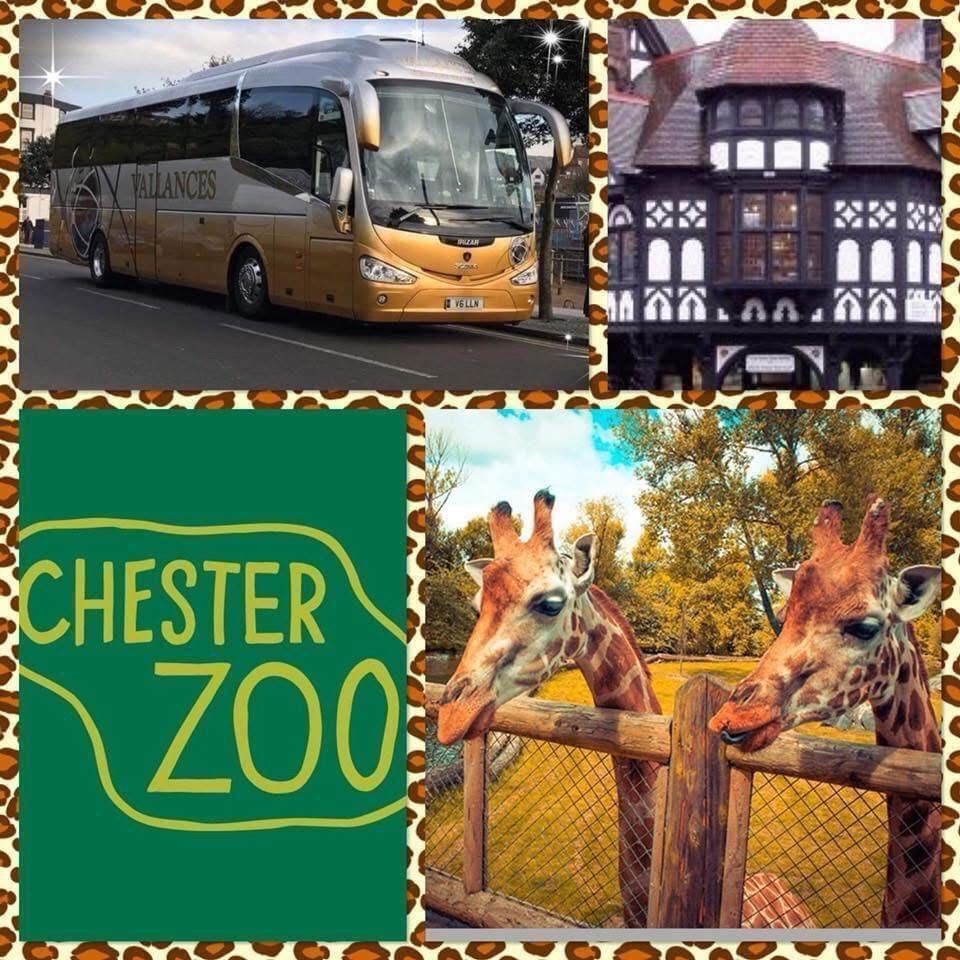 Coach trip to Chester Zoo 