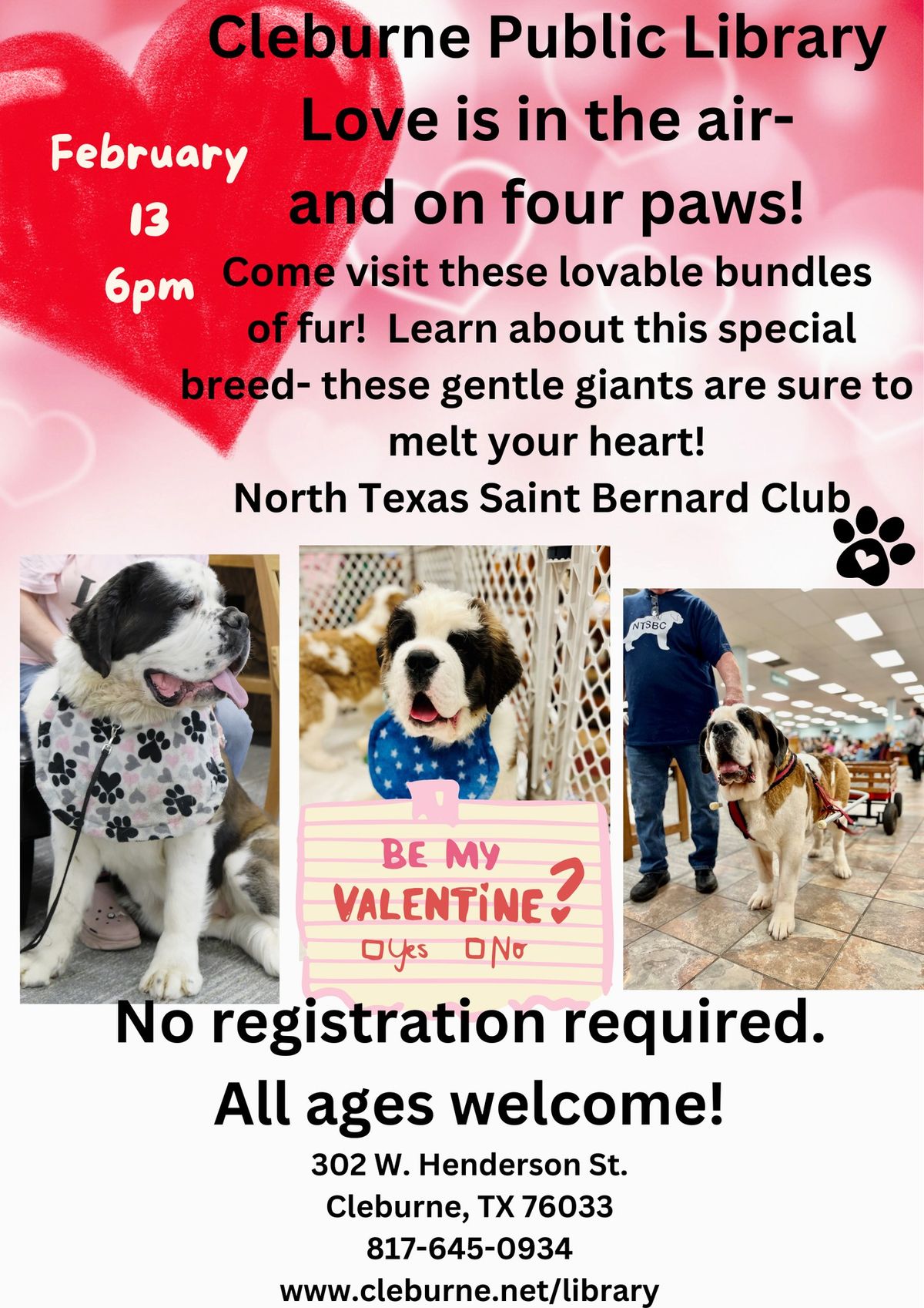 Saint Bernards Program