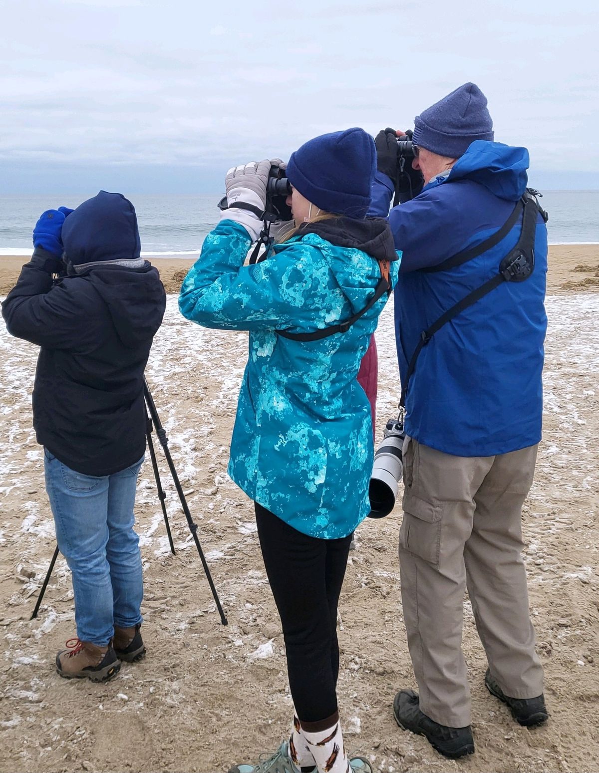 Winter Birding on the Rhode Island Coast