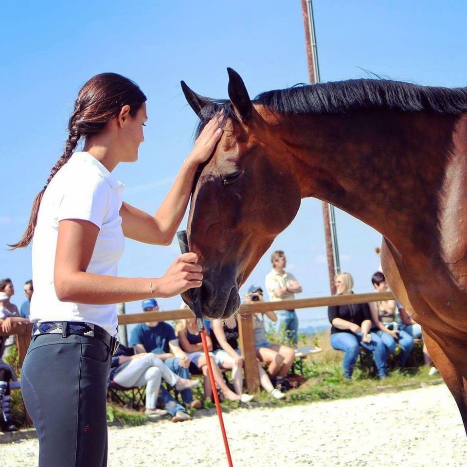 Stage Horsemanship avec Aur\u00e9lie de M\u00e9vius