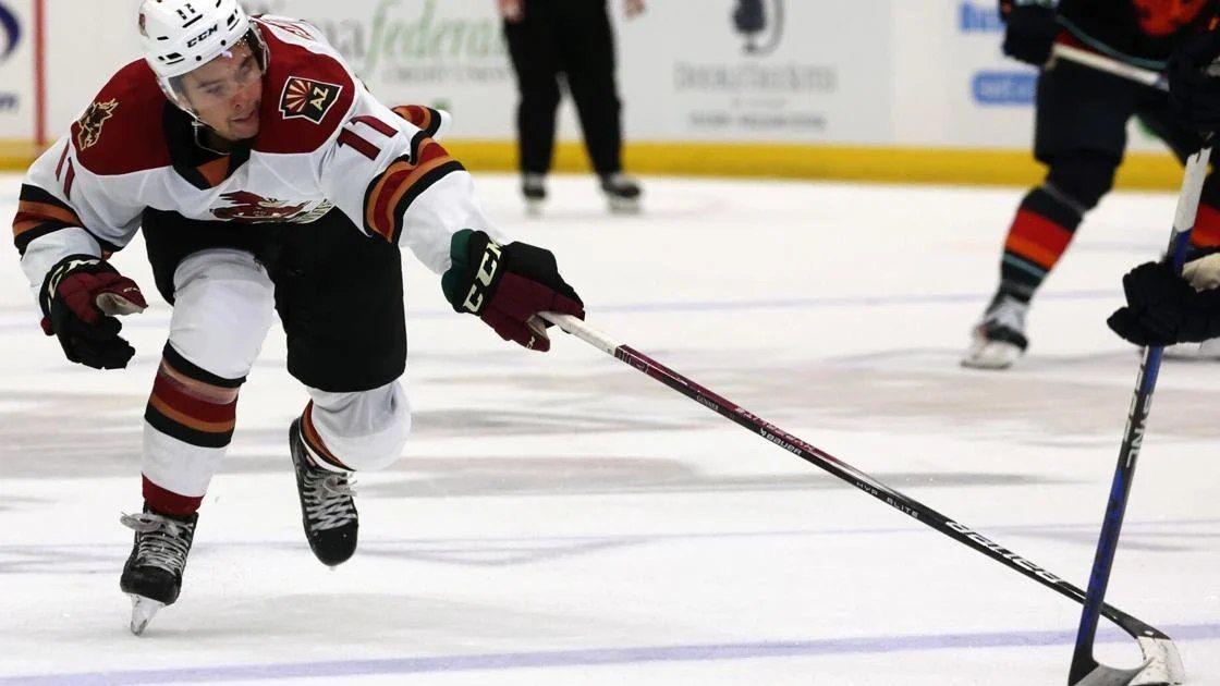 Abbotsford Canucks vs. Tucson Roadrunners at Abbotsford Centre