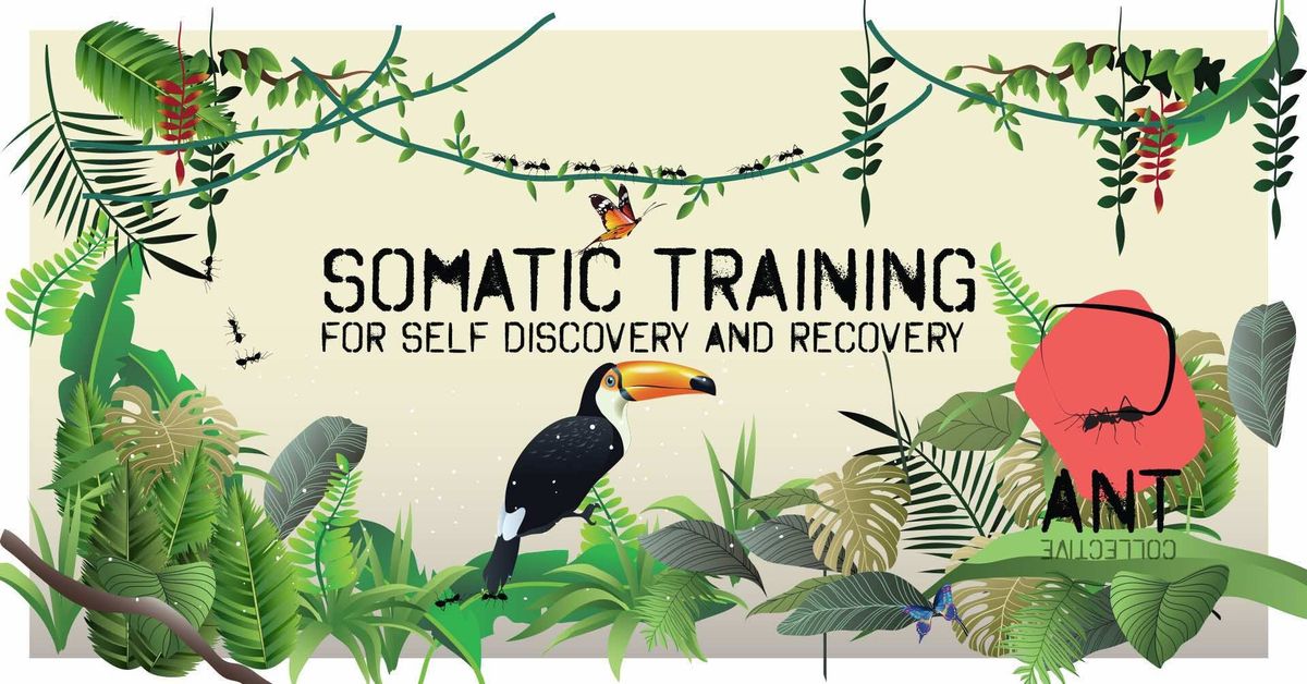 Somatic Training for self discovery and recovery (Introduction) 