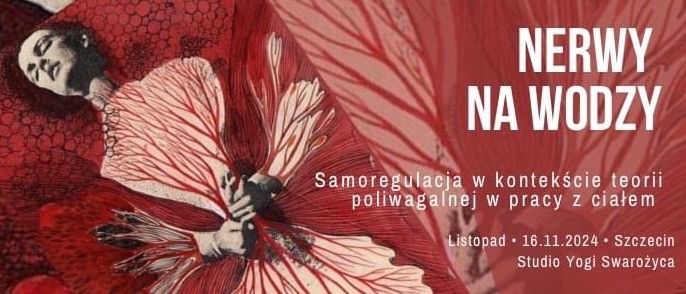 Nerwy Na Wodzy  Samoregulacja w kontek\u015bcie teorii poliwagalnej w pracy z cia\u0142em