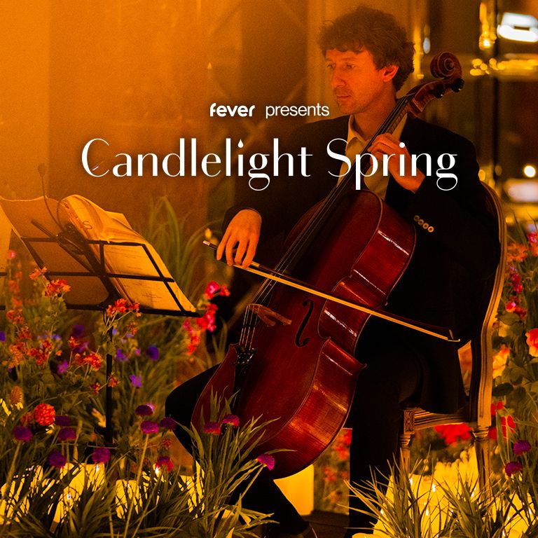 Candlelight Spring: Vivaldis \u201eVier Jahreszeiten\u201c im Residenzkino