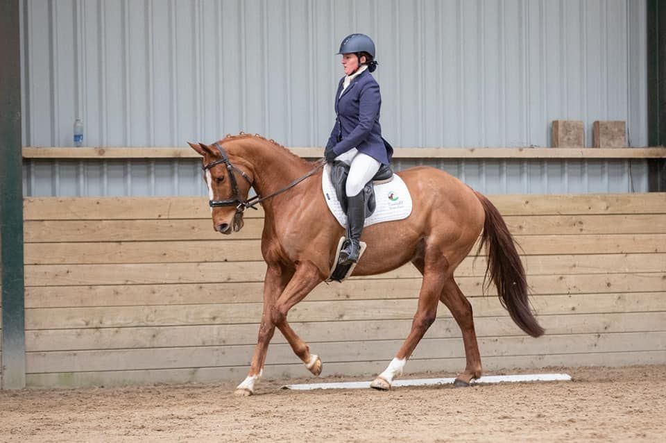 CASH Dressage @ Bailey Farm Equestrian