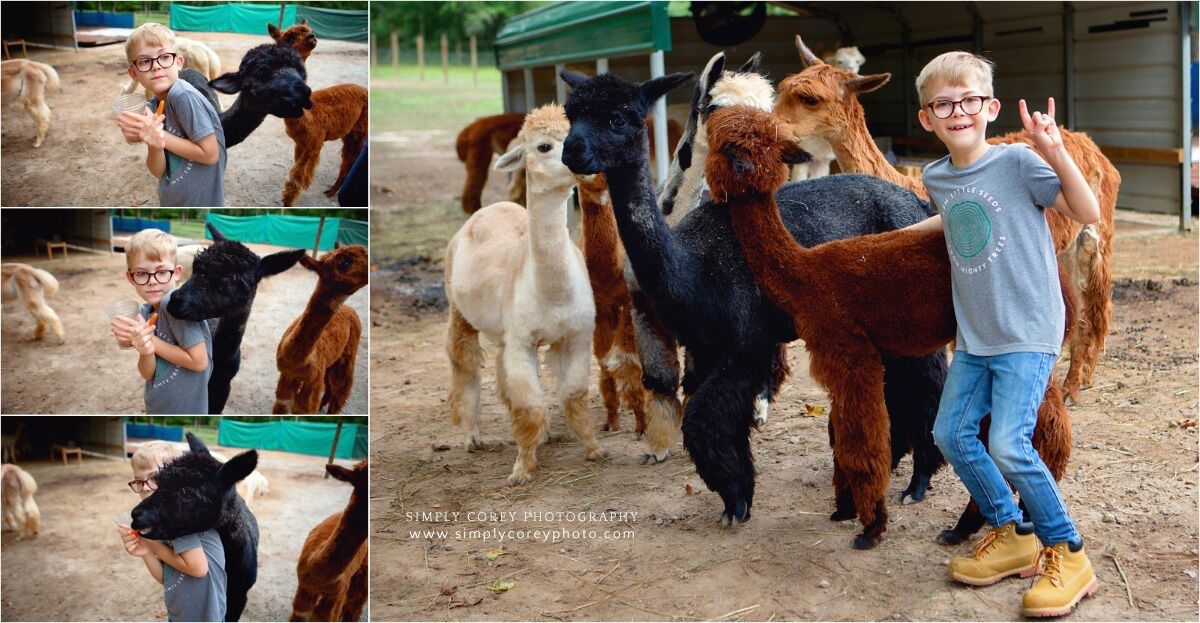 Alpacas Make You Smile\u00ae\ufe0f Farm Tour