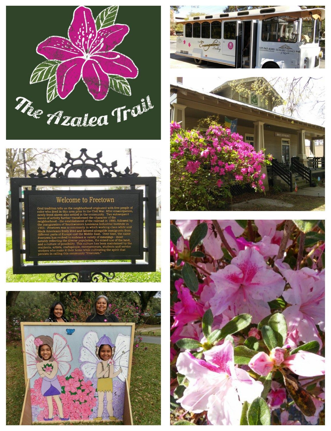 TROLLEY TOUR OF LAFAYETTE HISTORIC AZALEA TRAIL