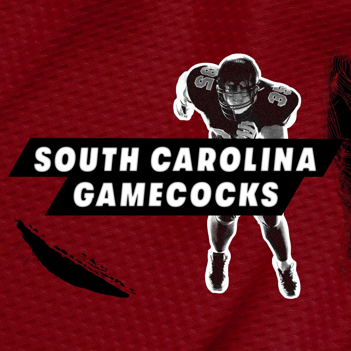 South Carolina State Bulldogs at South Carolina Gamecocks Football at Williams-Brice Stadium