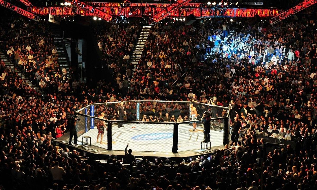 UFC 329