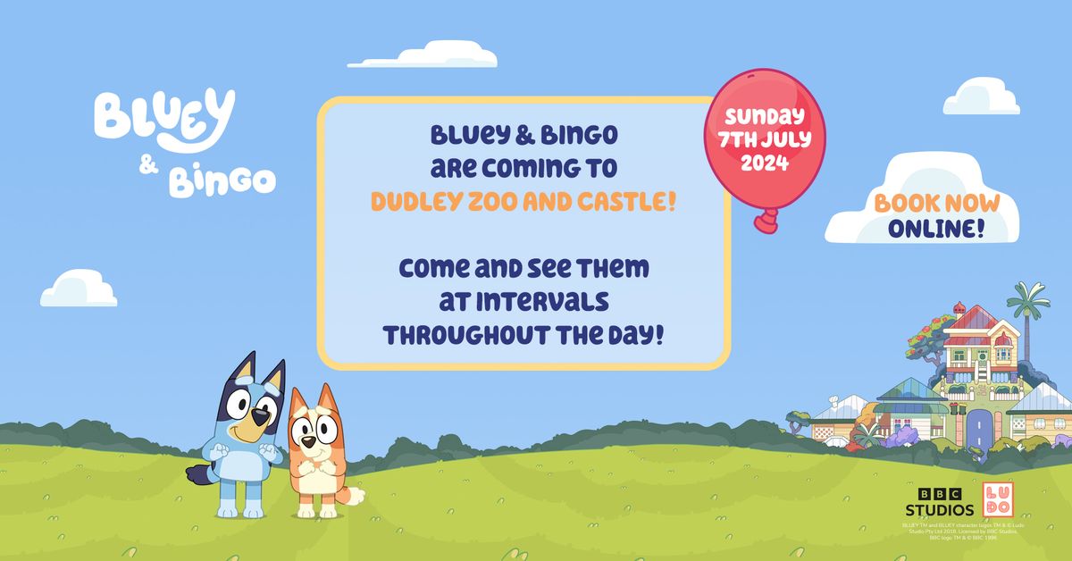 Bluey and Bingo visit DZC!