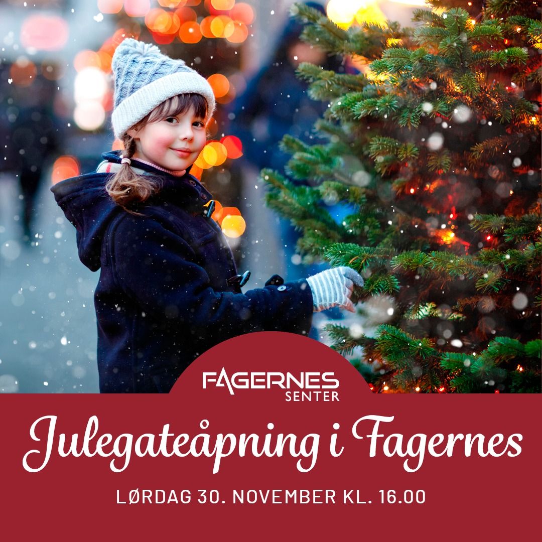 Julegate\u00e5pning Fagernes