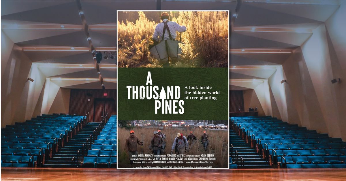 On Screen \/ In Person - A Thousand Pines